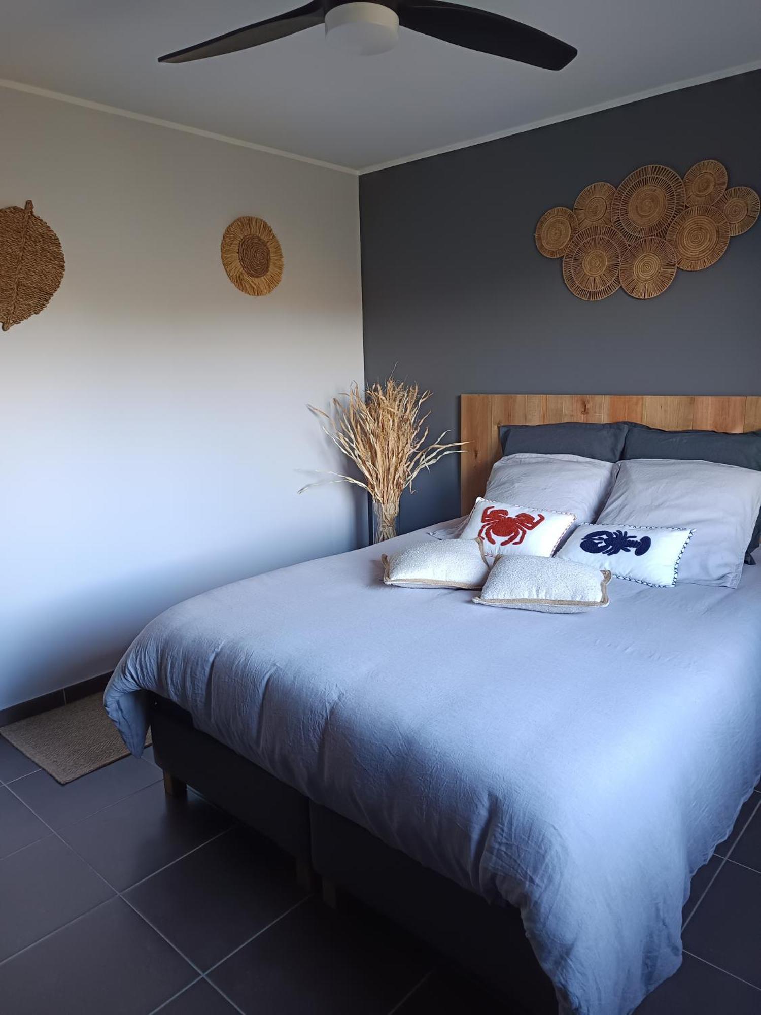 La Petite Chambre Du Lac 卡尔卡松 外观 照片