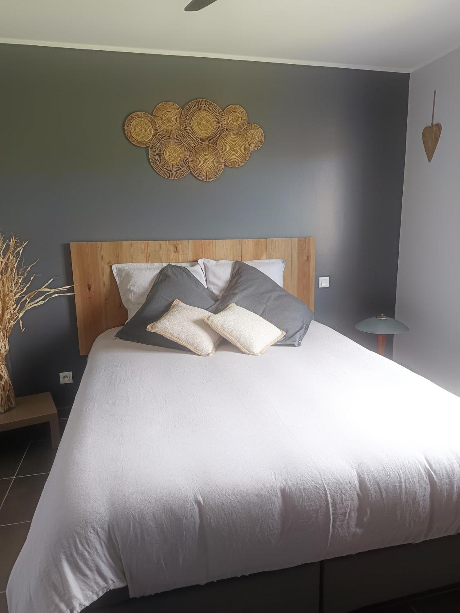 La Petite Chambre Du Lac 卡尔卡松 外观 照片
